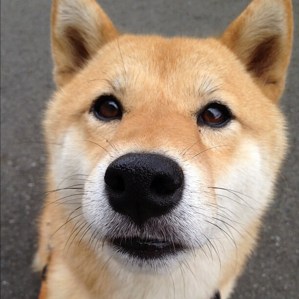 关键转身速度缩短比赛时间,转身技术