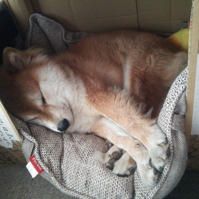 奥预赛中国女足逆袭 球员士气明显提升,中国女足奥预赛分组