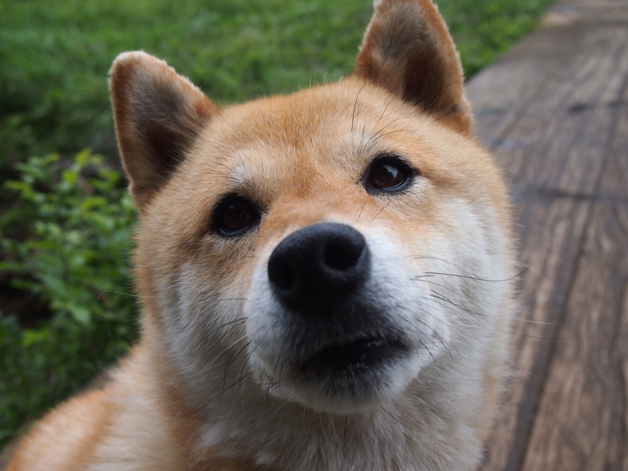 美国队未来发展策略：如何通过技术升级突破比赛瓶颈，美国队战术