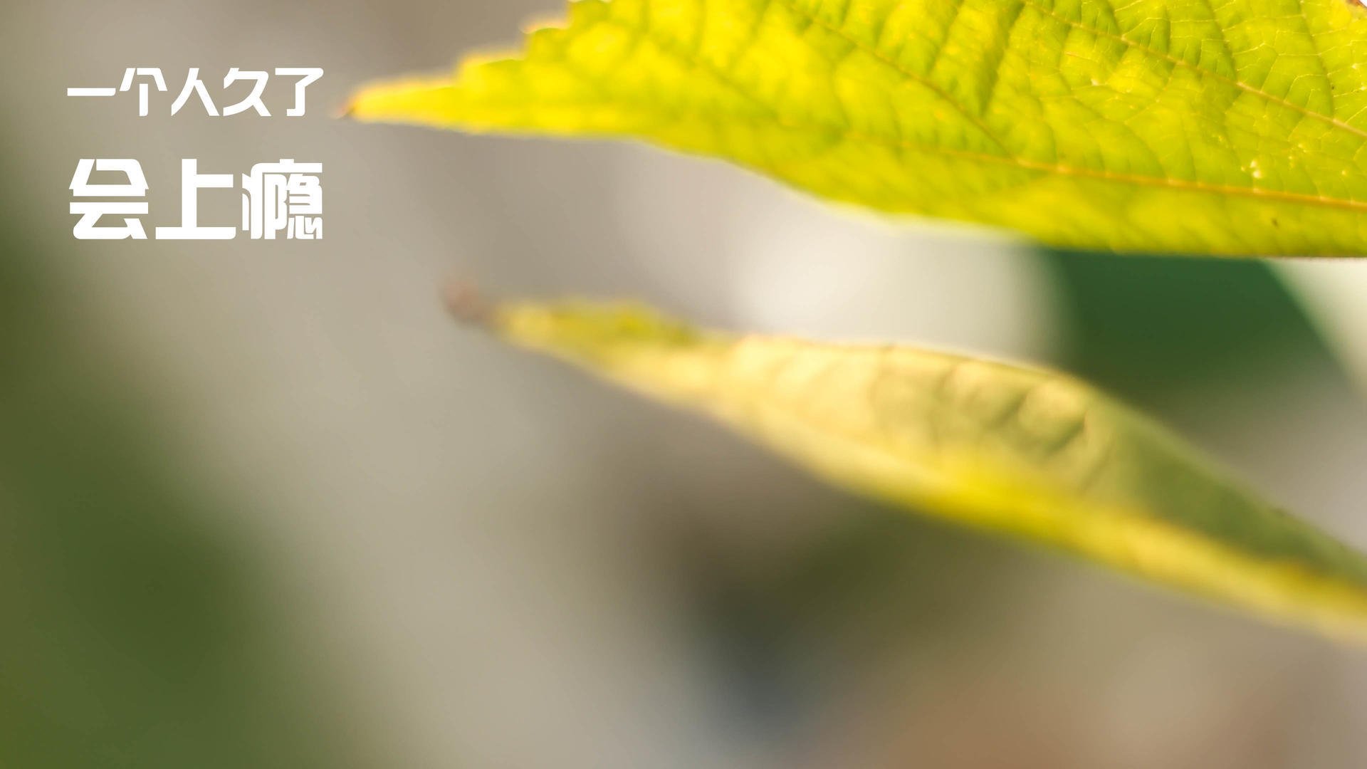 乔治反击一条龙引爆全场球迷，乔治yong