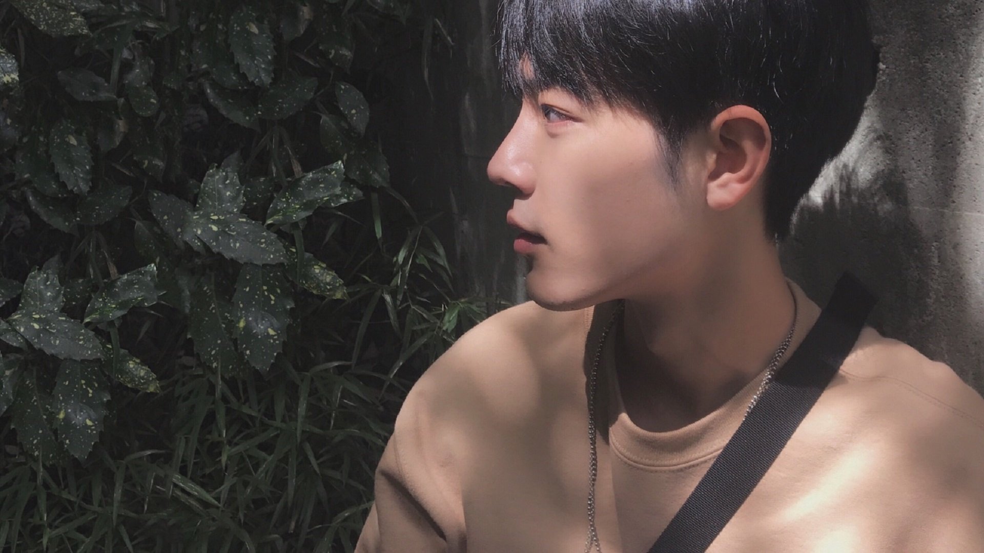 塞尔维亚女篮在欧洲锦标赛中表现优异，志在夺冠，塞尔维亚女蓝水平